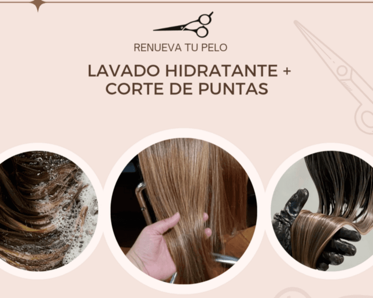 Lavado hidratante + corte de puntas + secado