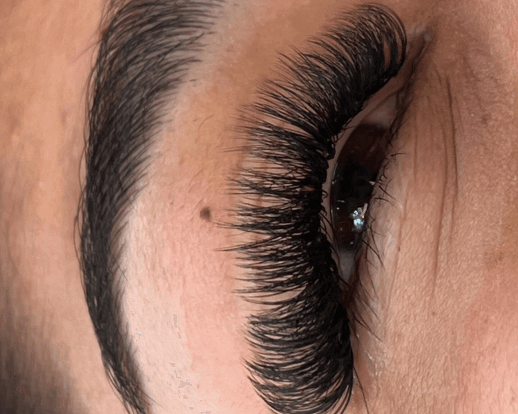 Volumen tecnológico 5D, 6D