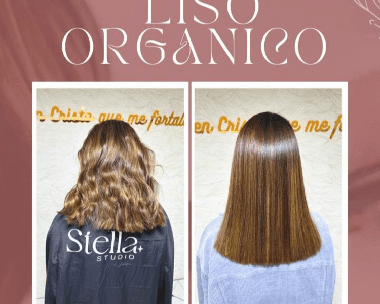 Liso Orgánico cabello corto