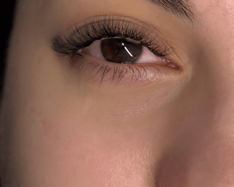 Extensiones Híbridas (Leer Descripción)