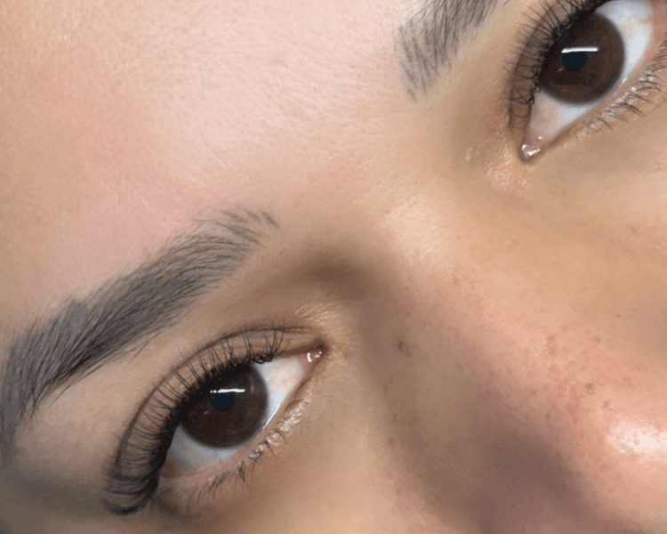 Extensiones Clásicas (Leer Descripción)