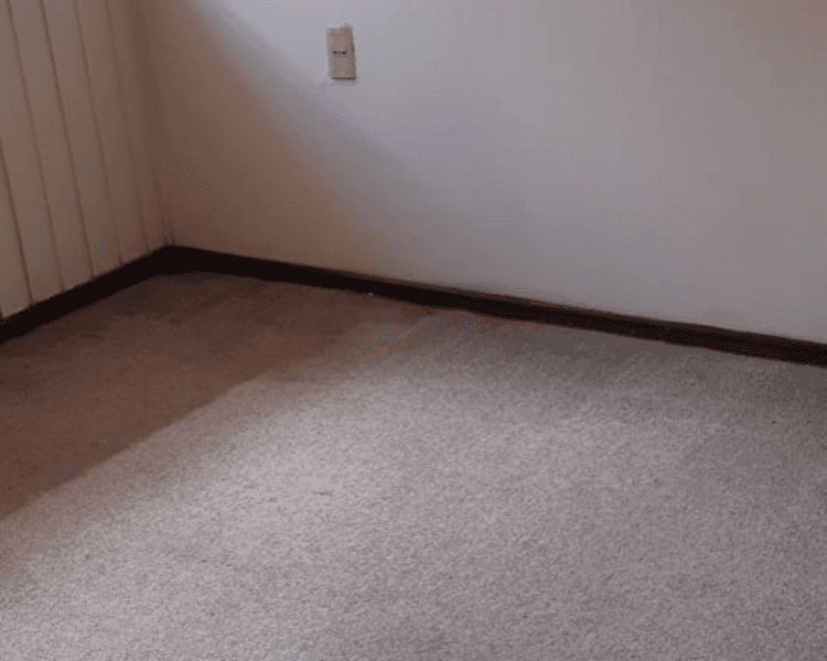 Alfombras muro a muro