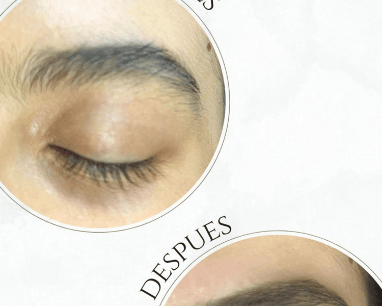 Diseño de cejas + Sombreado