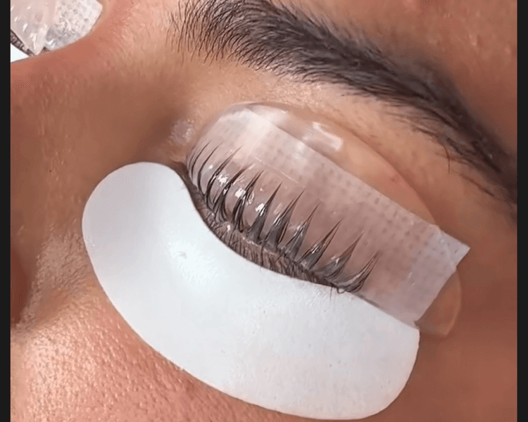 Hydra Lash