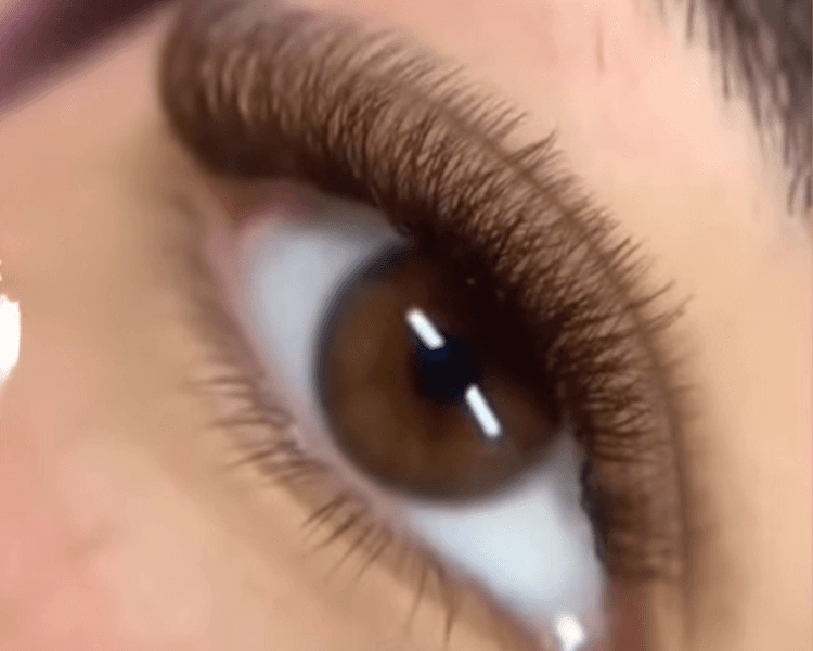 Volumen 3D color marron (PROMO)