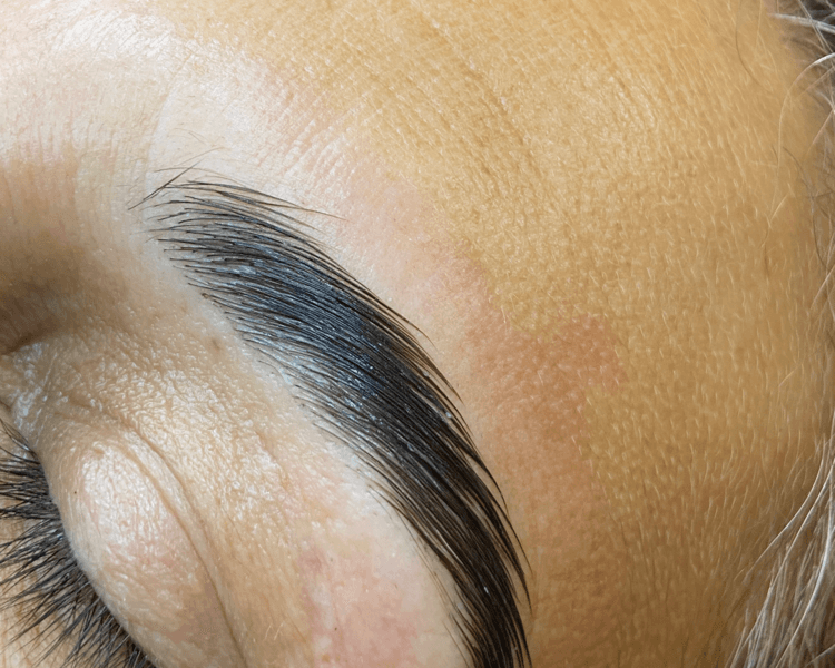 Laminado nutritivo (incluye perfilado)