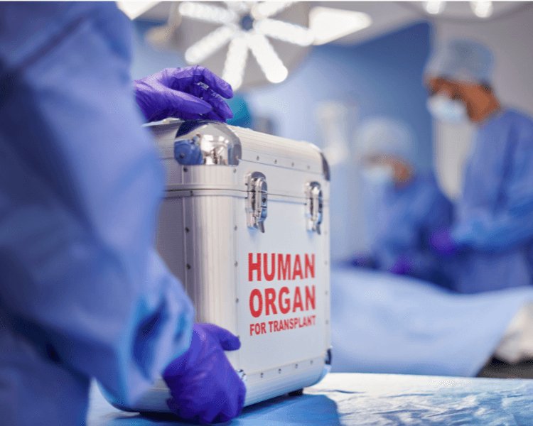 Cirugía de Trasplantes