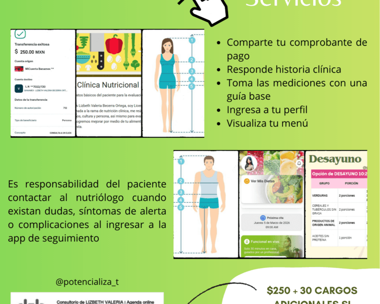 Consulta a una tecla