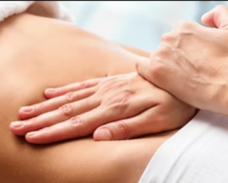 Terapia Manual Visceral