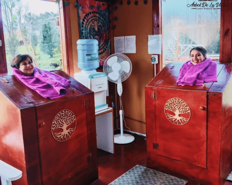 Programa de Bienestar digestivo y Tránsito intestinal ( 1 hora 40 minutos)