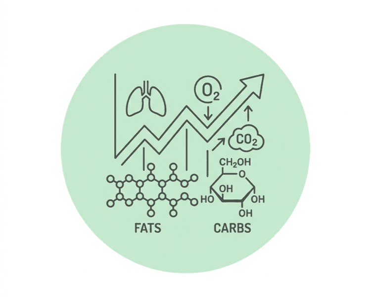 Medición de Calorimetría Completa