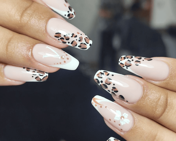 Soft Gel Full Diseño