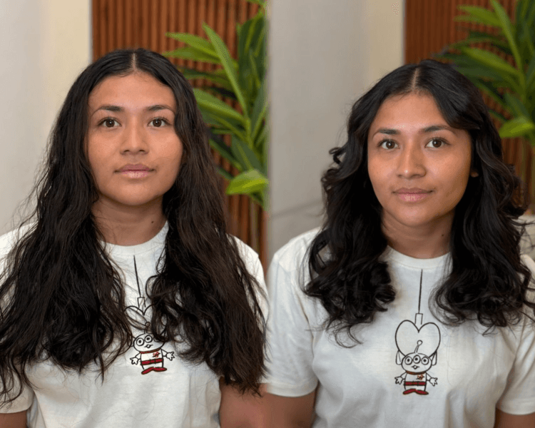 Corte de dama, con diseño