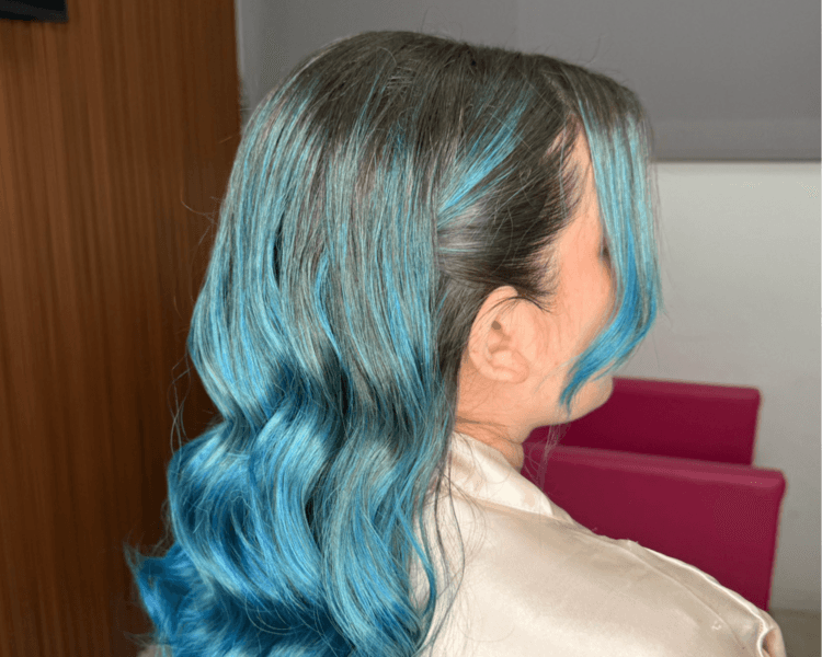 Coletas / recogidos /semi recogidos