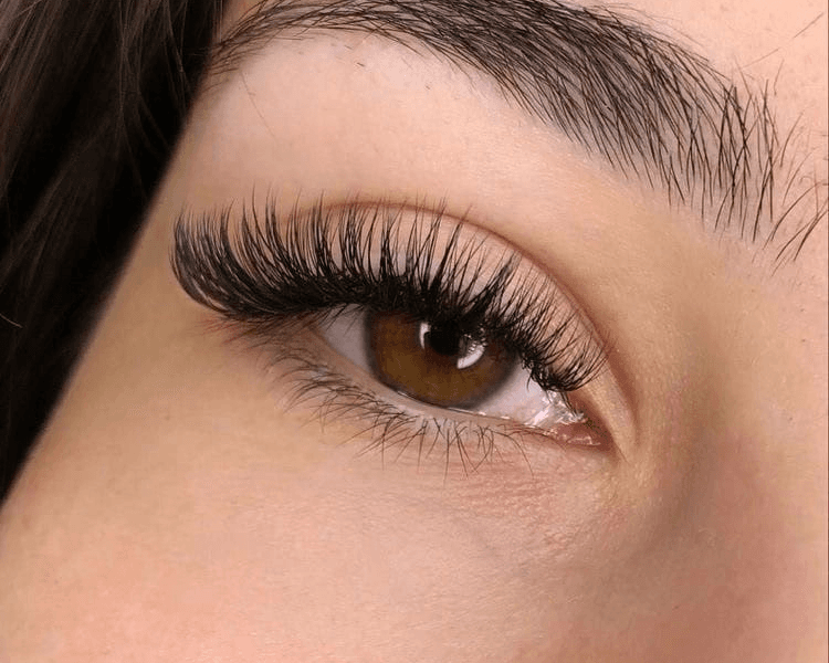 Extensiones Hibridas