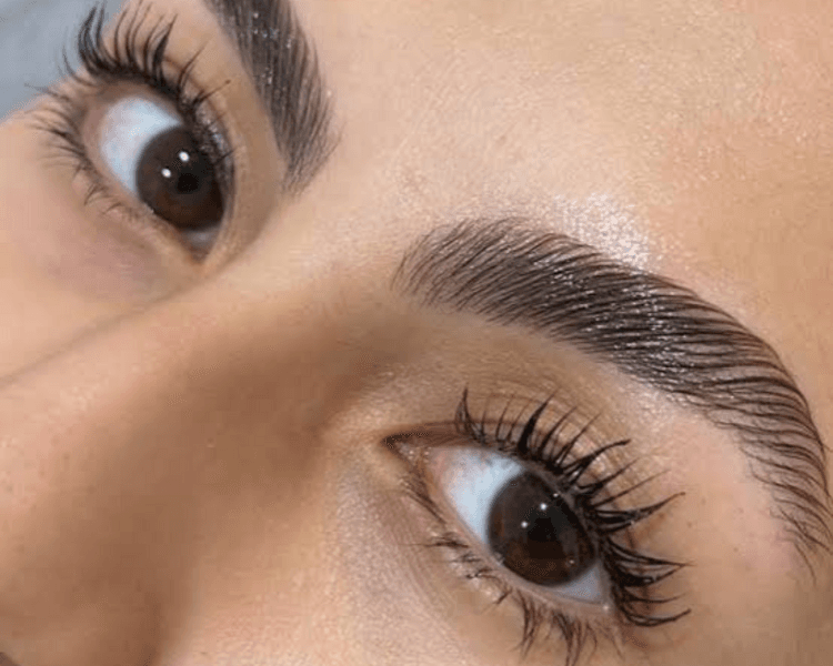 Nutrición de pestañas