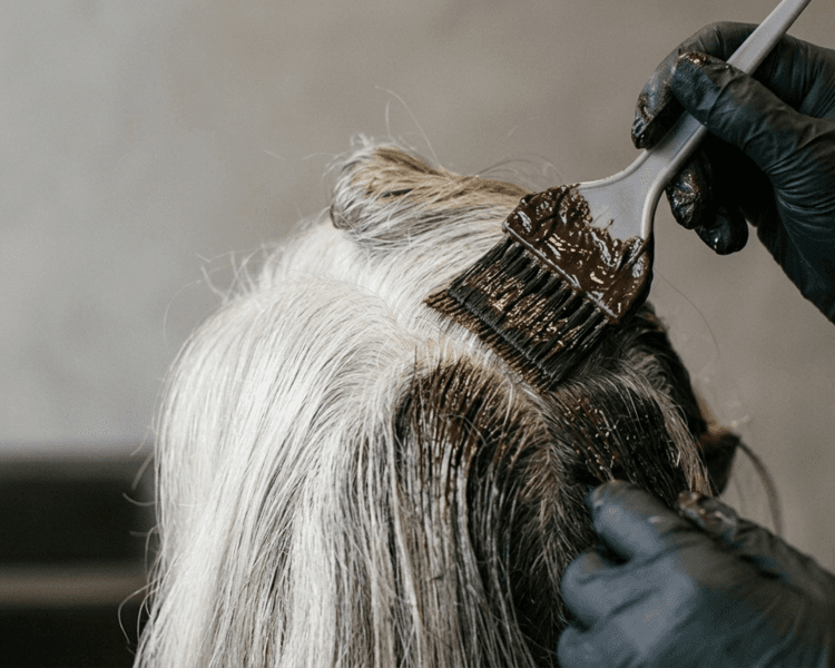 TIntura Tradicional recubrimiento de canas