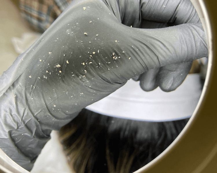 COMBO 3 - LIMPIEZA FACIAL + LIFTING + LAMINADO + HENNA + PERFILADO DE CEJAS