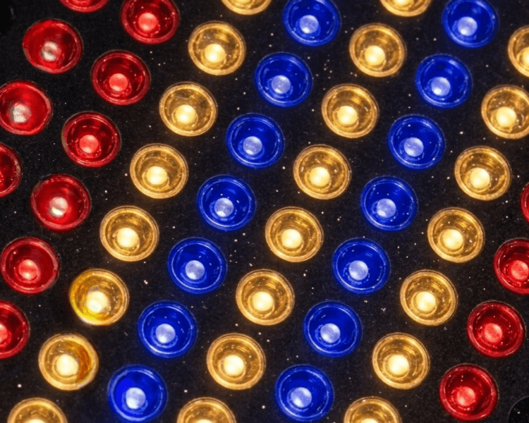 CAMILLA LED - PROGRAMA REGENERACIÓN (8 Sesiones) - FOTOBIOMODULACIÓN