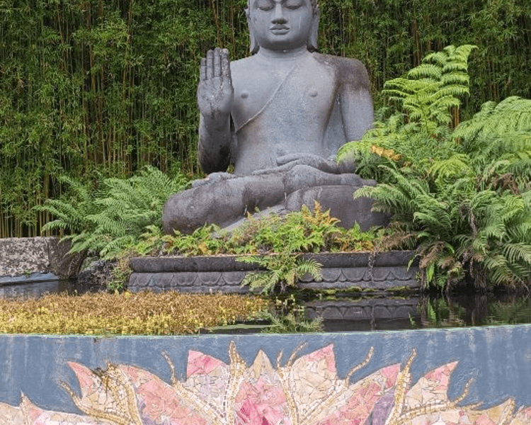 Terapia integrativa primera sesion