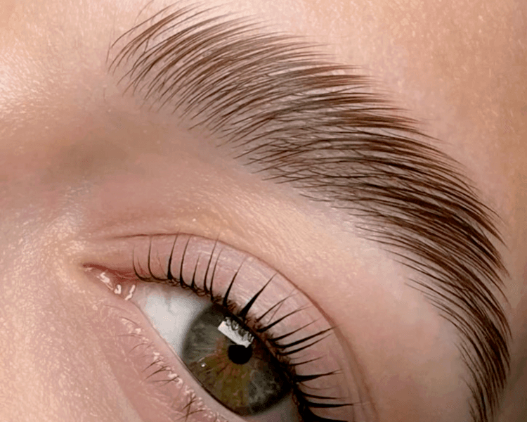 Laminado ( incluye perfilado de cejas)