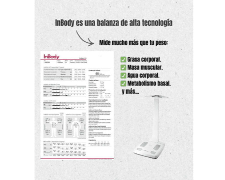Evaluación de composición corporal por medio de Inbody + informe (no incluye pauta de alimentación).