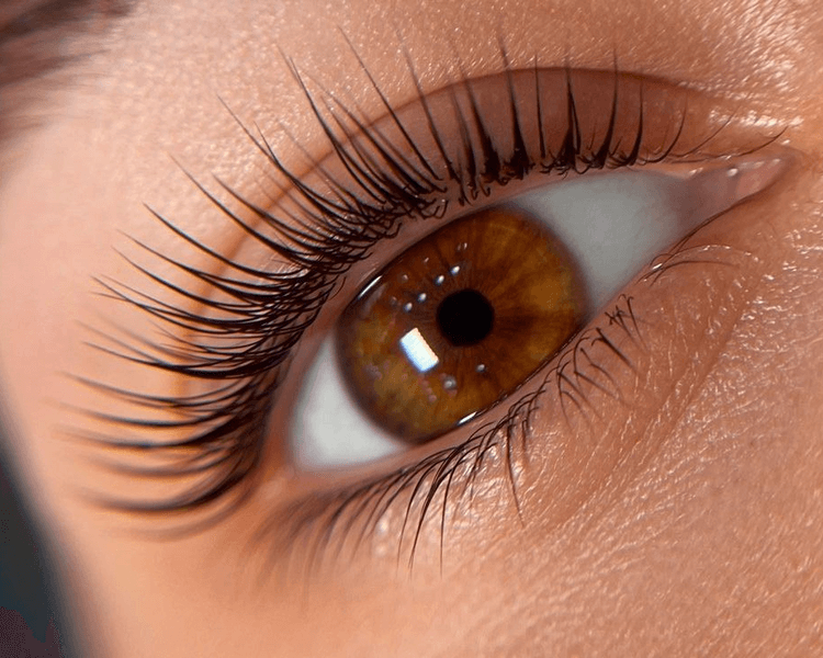 Combo Pestañas (Lashlifting + Pigmento) / Combo Lashes (Lashlifting + Tint)