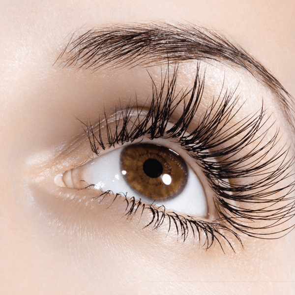 Lash Lifting