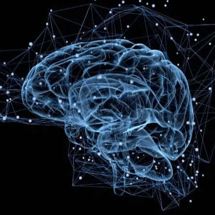 ELECTROENCEFALOGRAMA photo