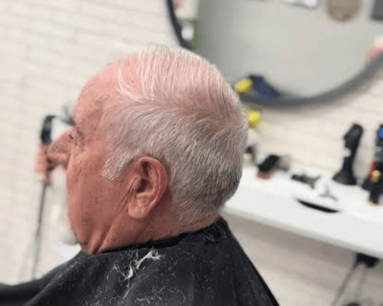 Corte jubilados
