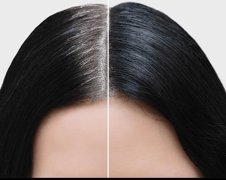 Cubrimiento de canas