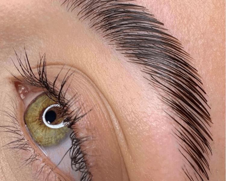 Laminado de cejas