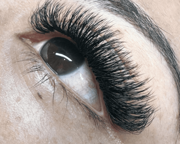 Volumen en Clover 5D