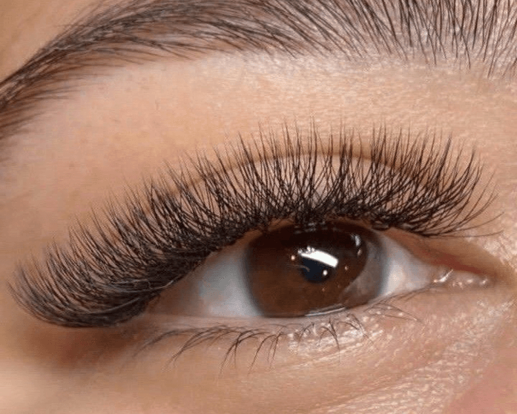 Extensiones | Tecnológicas 4D a 7D