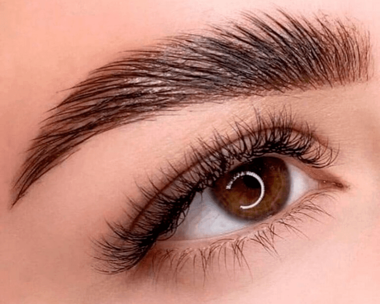 Planchado de Cejas