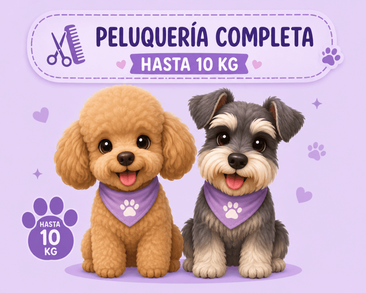 peluquería completa hasta 10 kg