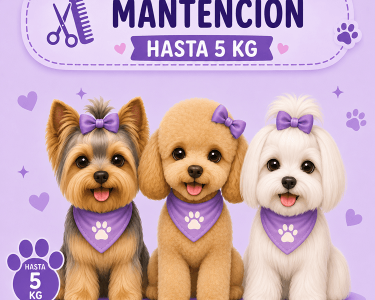 Mantención hasta 5 kg