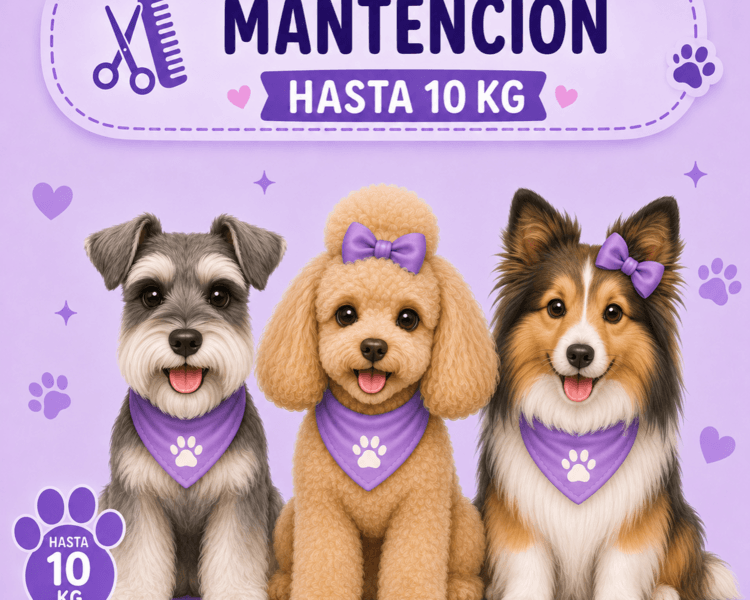 Mantención hasta 10 kg