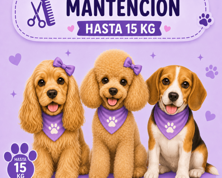 Mantención hasta 15 kg