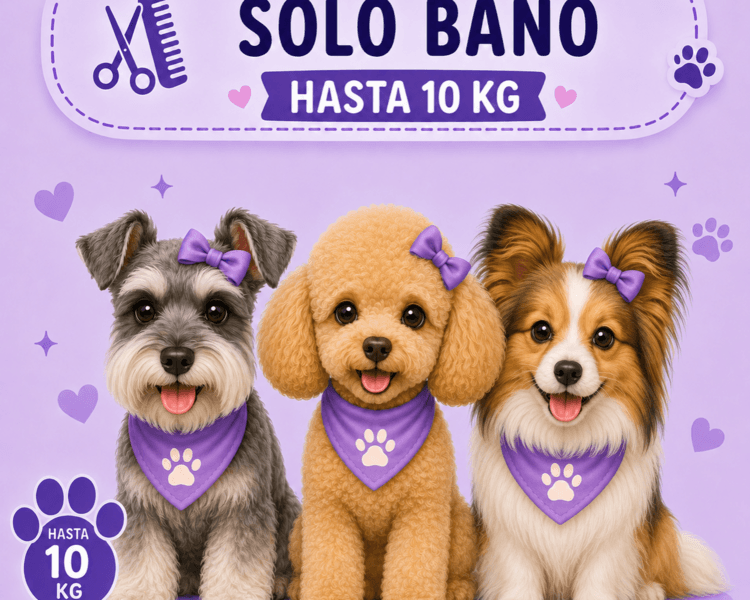 Solo baño hasta 10 kg