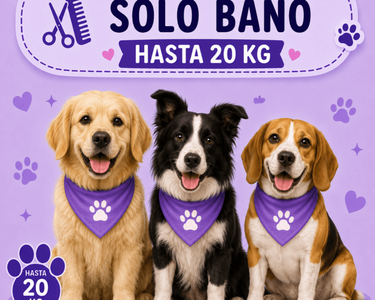 Solo baño hasta 20 kg