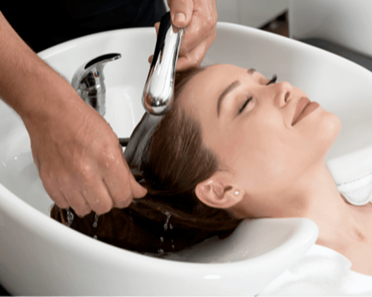 Lavado+ Brushing (Peinado con secador)