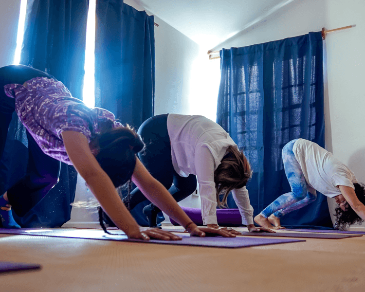 YOGA VITAL (Clase suelta)