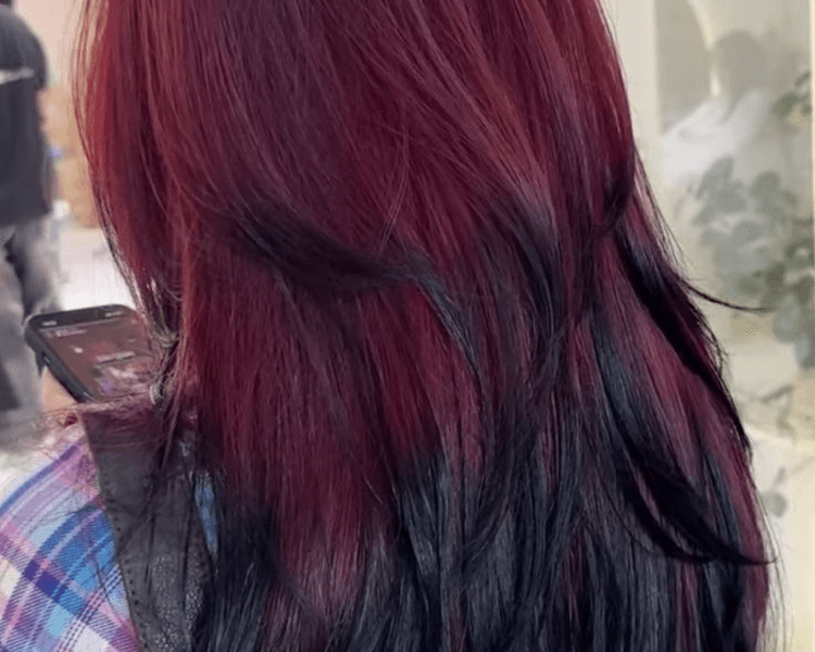 Diseño de color cabello largo