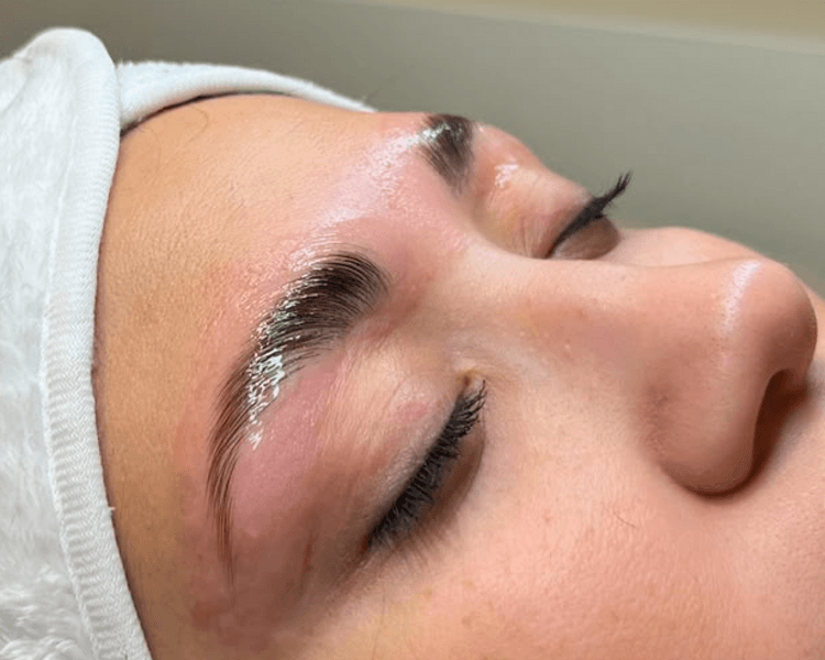 Laminado Nutritivo de cejas