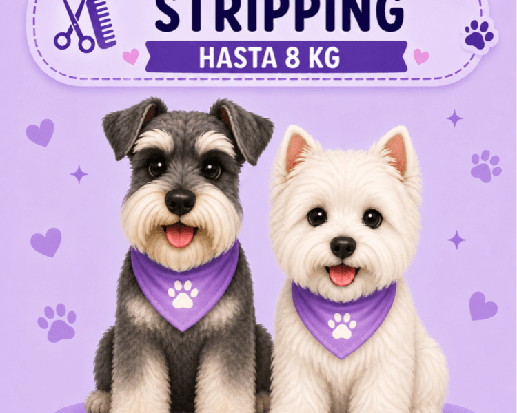 Stripping