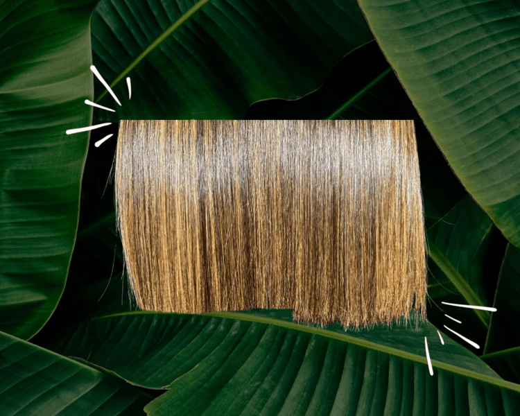 Corte de Cabello recto o puntas