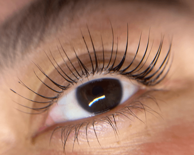 Lash Lifting Tradicional