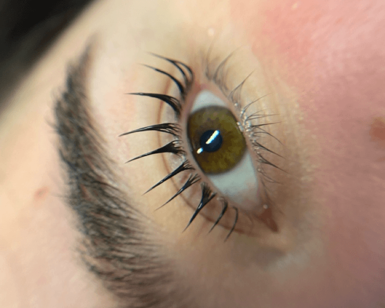 Lash Lifting Japonés