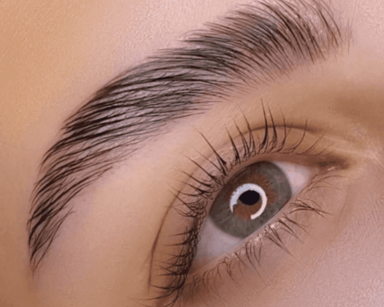 Laminado de cejas